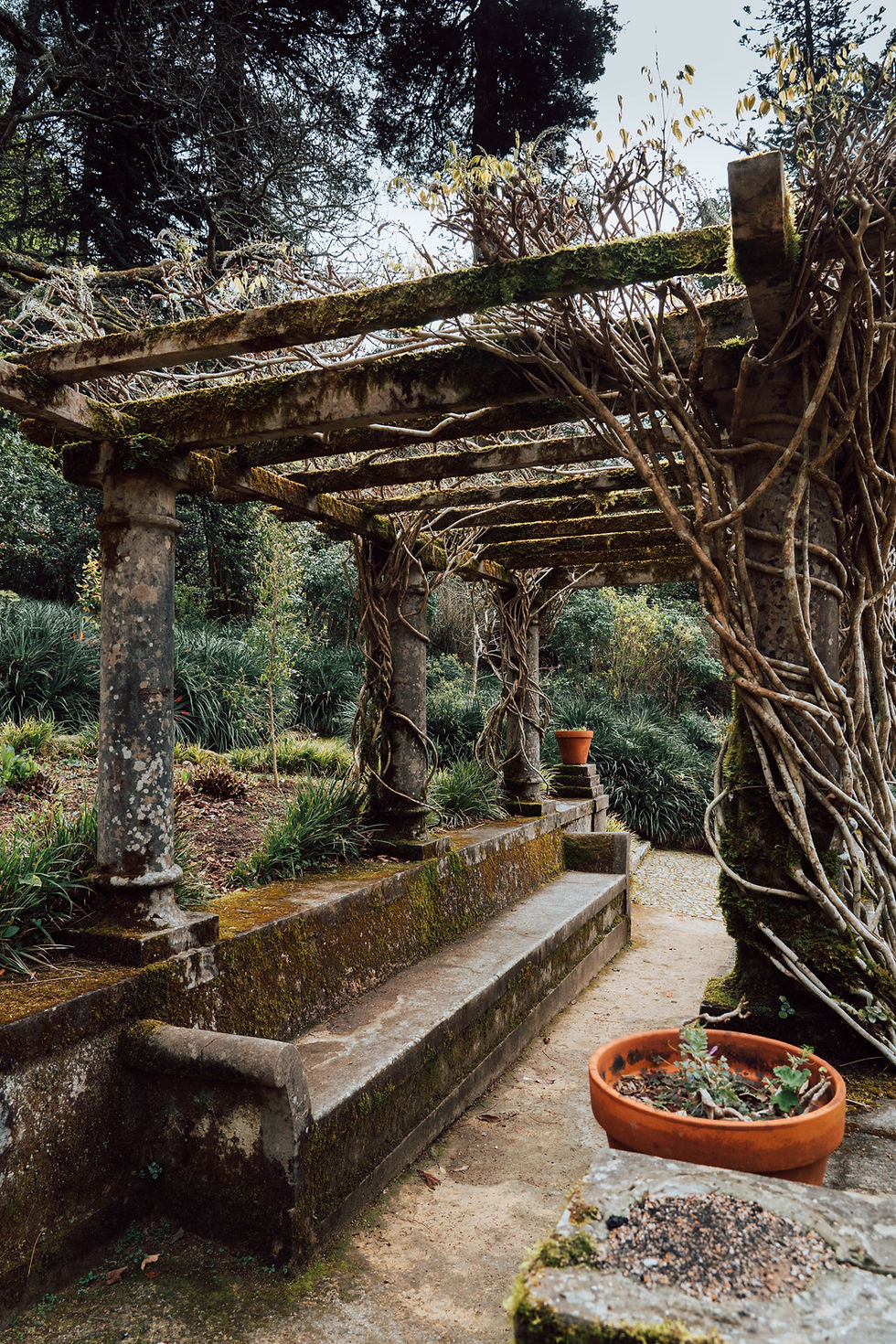 A Pergola roof wrapped with vines and twigs in an enchanted garden.