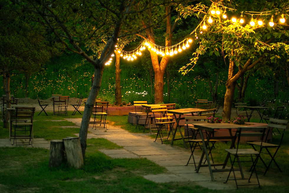 Hanging lights lighting up a garden and giving a cosy atmosphere.