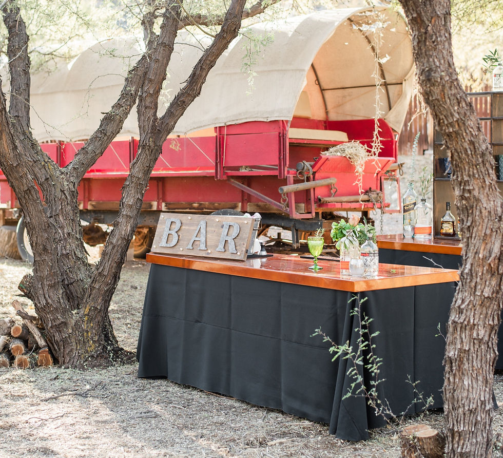 A mini bar in a garden setting