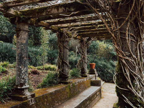 What is the best roof for a Pergola?