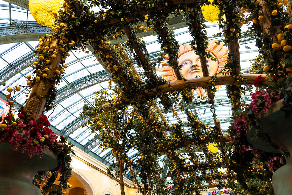 A beautiful Pergola roof, decorated with colourful flowers.