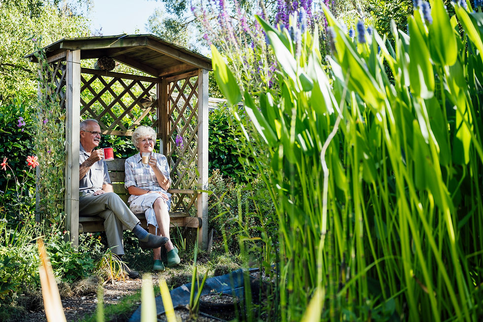 pergola in garden